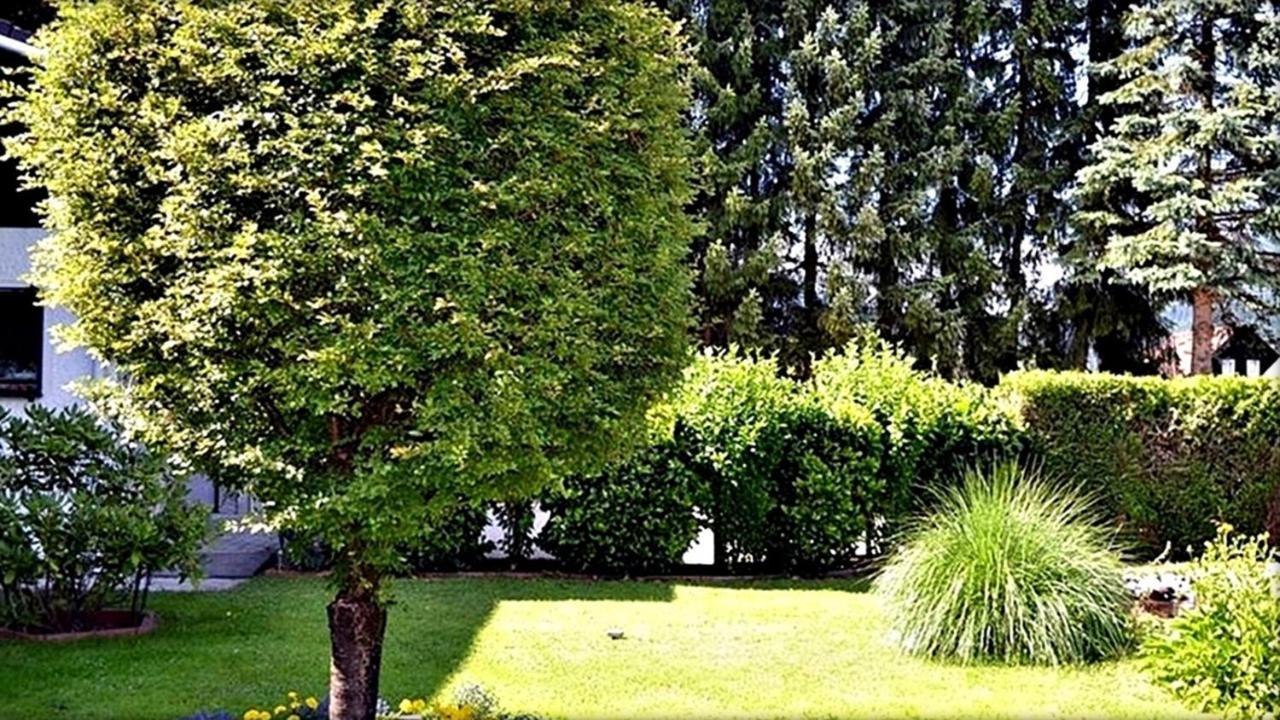 Ferienwohnung Neuhuber Bad Goisern Bagian luar foto