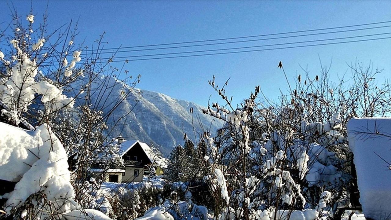Ferienwohnung Neuhuber Bad Goisern Bagian luar foto